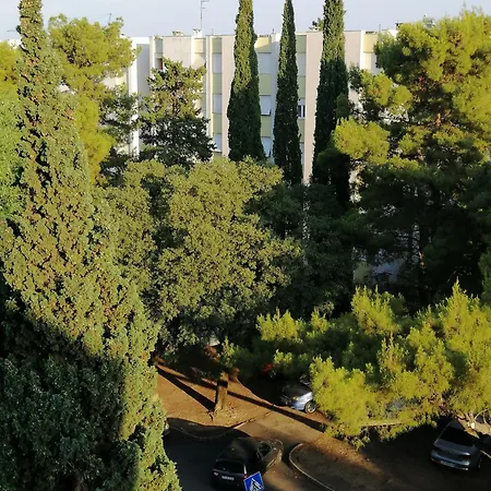 Sunny Split