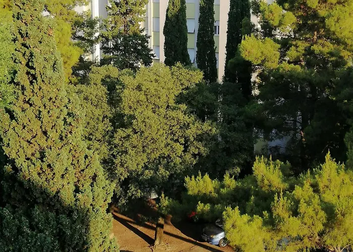 Sunny Split